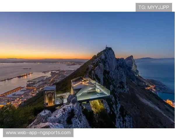 探索运动的多维世界：从健康管理到竞技突破的全景视野