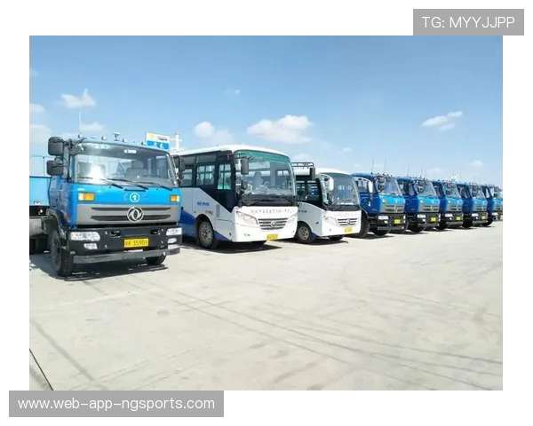 暖阳王者引领辉煌征程燃动热血再创荣耀新时代